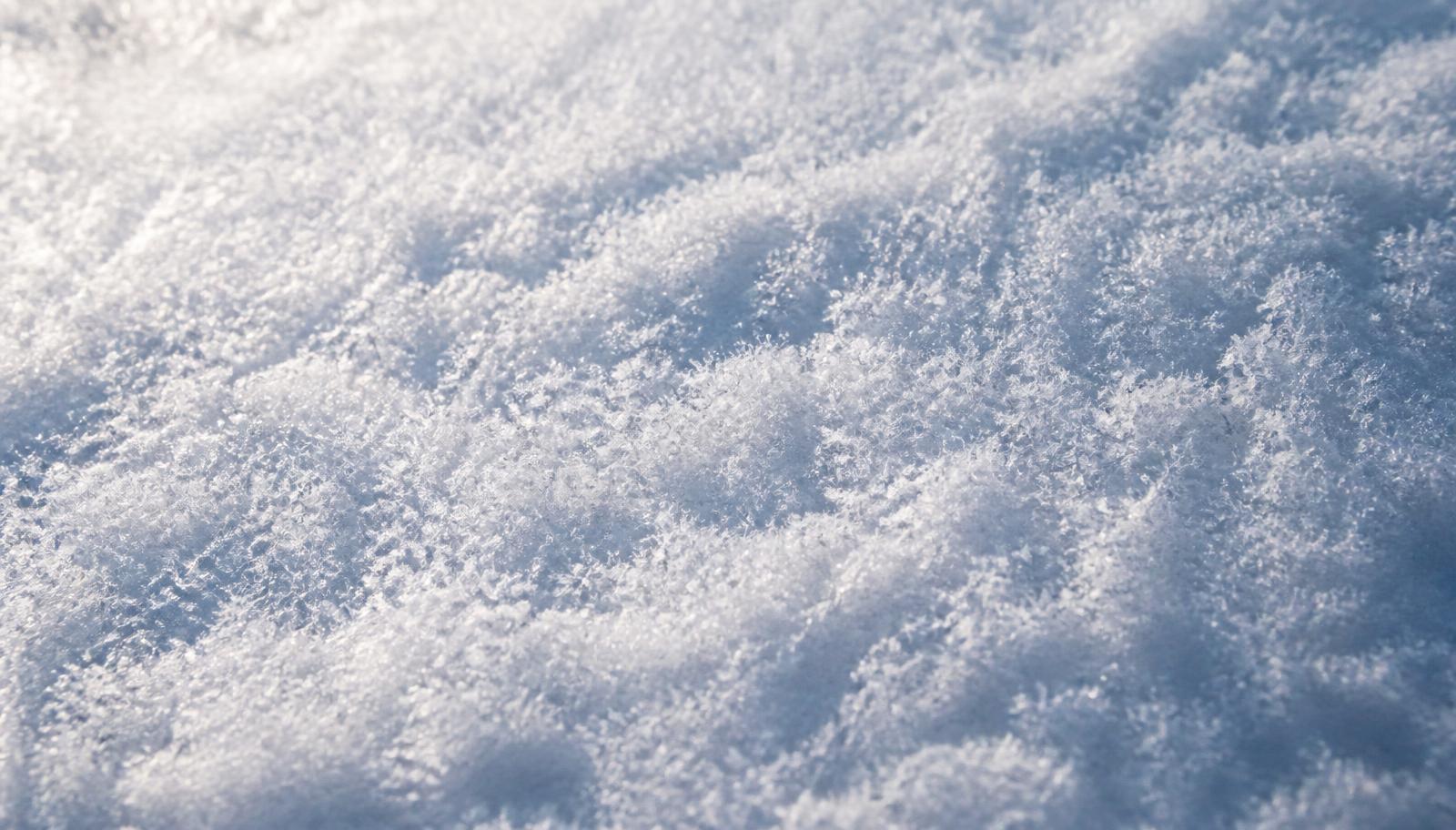 Close-up of windblown snow crystals catching low winter light